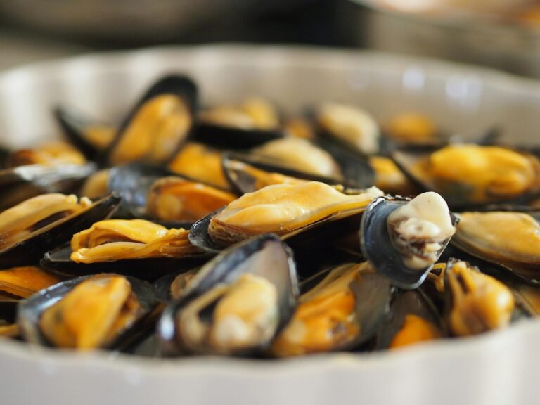 moules de Charente Maritime
