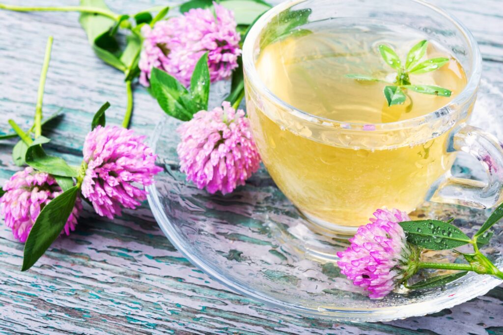 Les herbes naturelles pour favoriser la digestion
