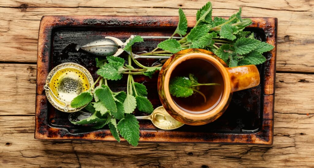 La mélisse est une herbe naturelle excellente pour favoriser la digestion.